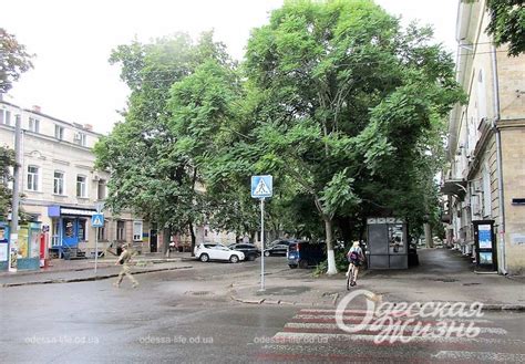 погода томашув мазовецький|Погода в Томашув